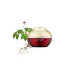 Korea Red Ginseng Aqua Wrinkle & Whitening Cream 50 ml