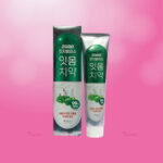 2081 Gingivalic Gum Toothpast Mediplus 150 g