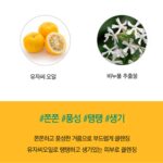 Holika Holika Daily Fresh Citron Cleansing Foam 150 ml