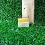 Enprani Premiercell Volume Firming Cream 10ml