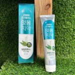 2080 Gingivalis Fresh Mint Toothpaste 150 g
