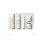 Nature Republic Ginseng Royal Silk Trial Kit
