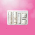 Nature Republic Ginseng Royal Silk Trial Kit