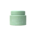 The Saem Care Plus Artemisia Steam Cream 100ml